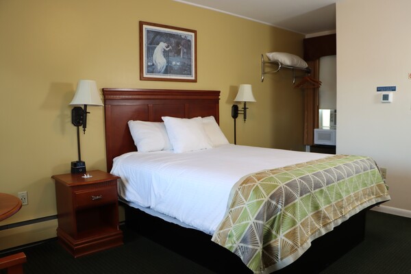 Room with One Queen Bed Photo 2