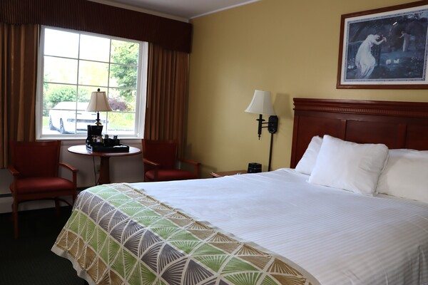 Room with One Queen Bed Photo 1